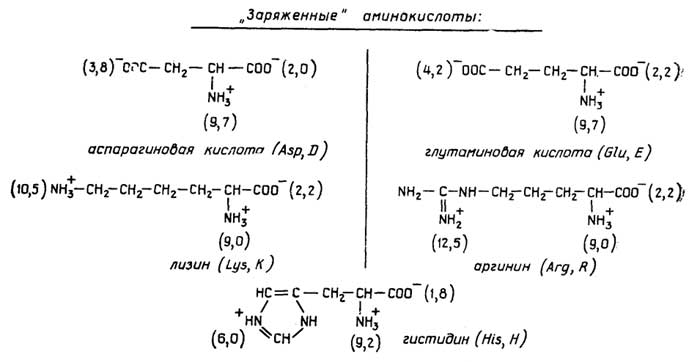 Рис. II.1 Аминокислоты белков при рН 7. В скобках: численные значения рК (депротонизации) соответствующих групп и условные обозначения.