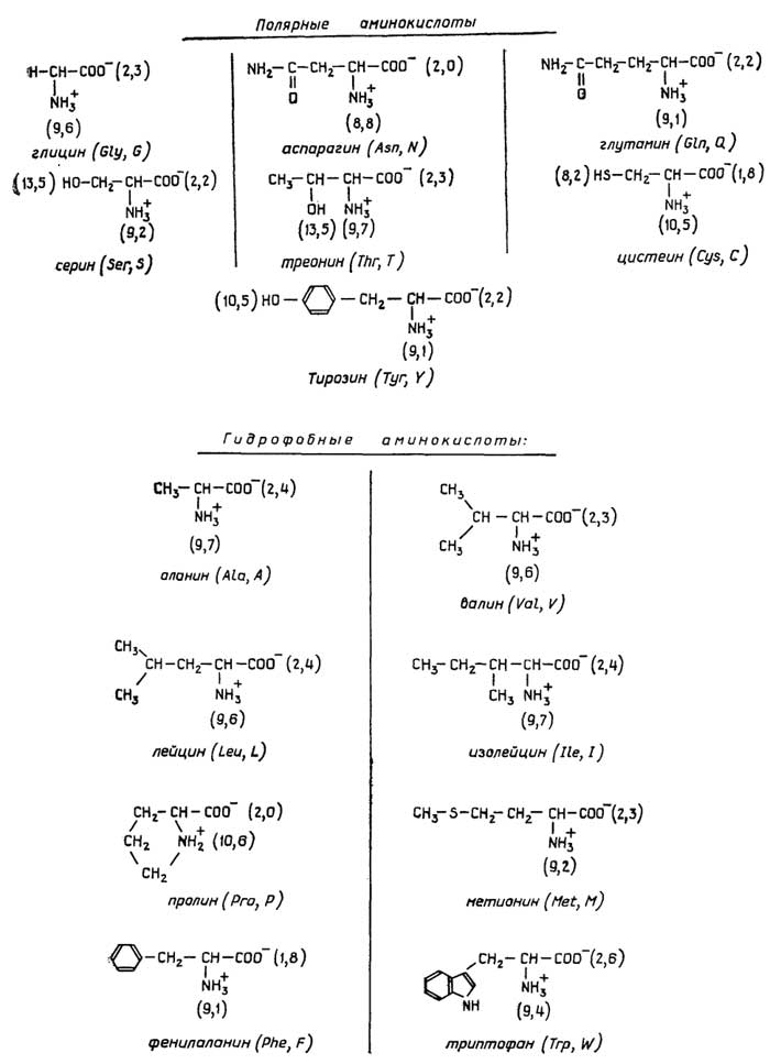 http://www.lifelib.info/biochemistry/basics/images/000089.jpg