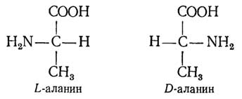 http://www.lifelib.info/biochemistry/basics/images/000127.jpg