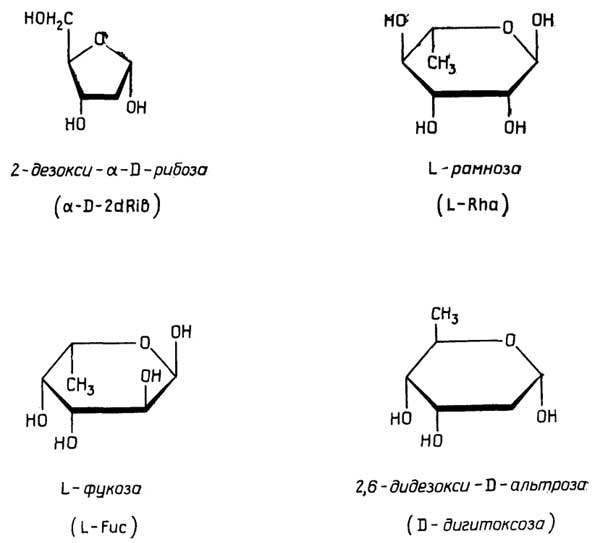 Рис. II.51. Наиболее известные дезоксисахара