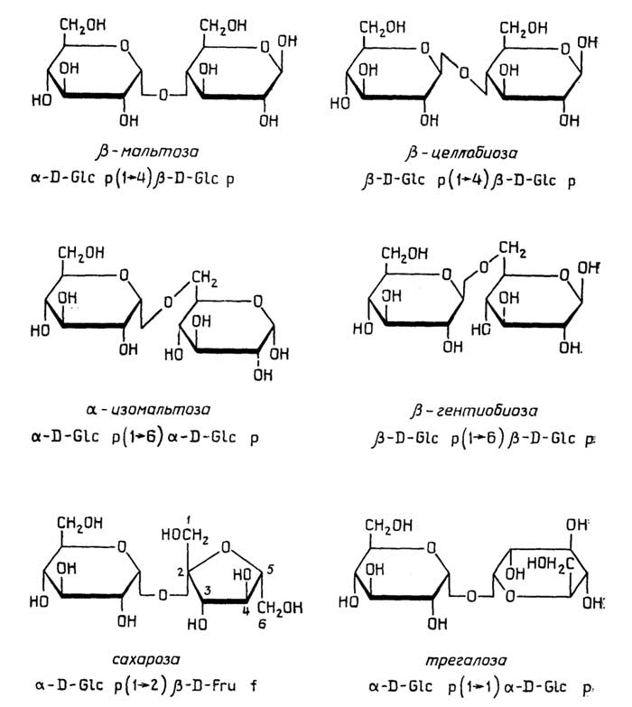 Рис. II.53. Наиболее известные дисахариды