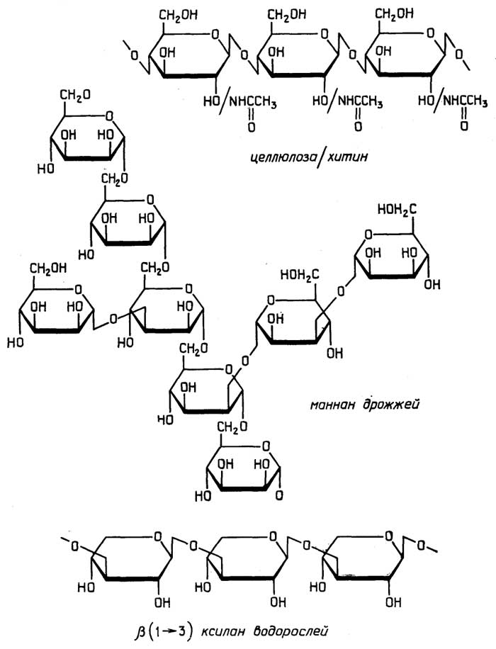 Рис. II.56. Основные структурные полисахариды
