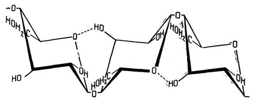 Рис. II.62. Образование внутрицепочечных водородных связей в поли-β-D-глюкозе