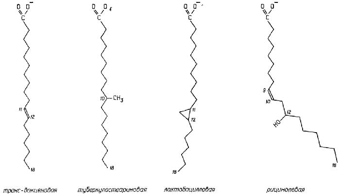 Рис. II.71. Редкие жирные кислоты