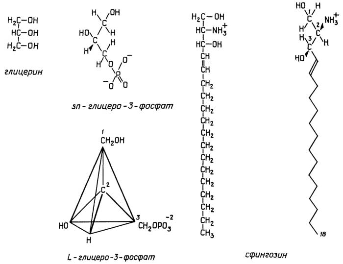 Рис. II.72. Глицерин и сфингозин