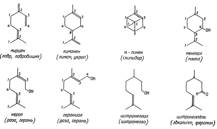 Рис. II.80. Наиболее известные монотерпены