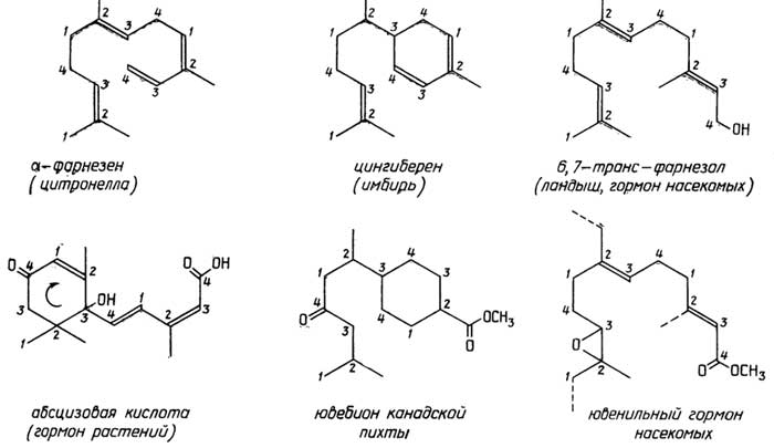 Рис. II.81. Важные сесквитерпены