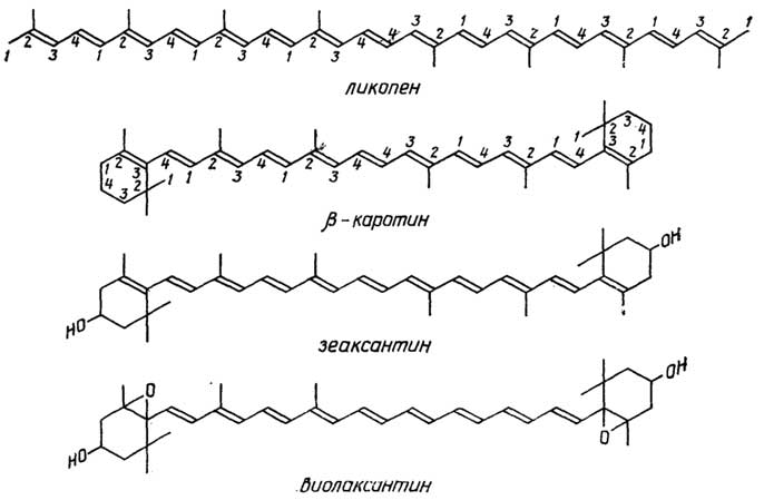 Рис. II.84. Тетратерпены (каротиноиды)