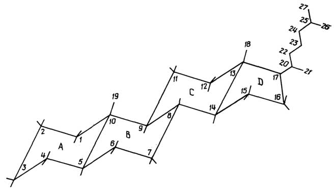 Рис. II.87. Конформация стероидного скелета. Пронумерованы только атомы углерода