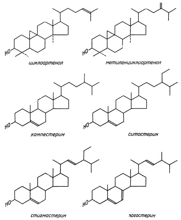 Рис. II.88. Стерины растений (фитостерины) и грибов (микостерин)