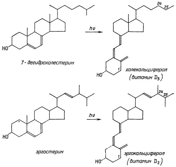 Рис. II.93. Витамин D