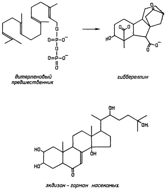 Рис. II.95. Стероидные гормоны растений и насекомых