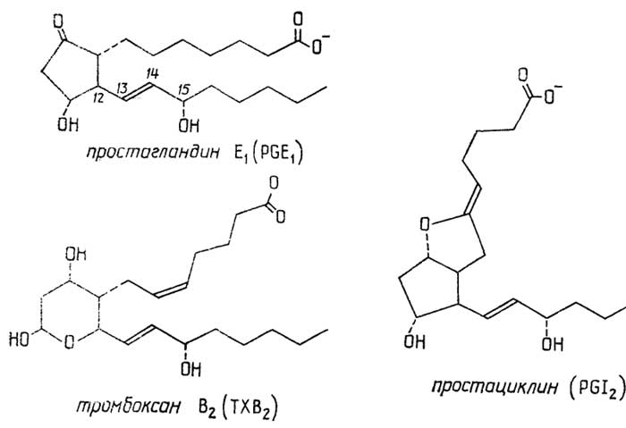 Рис. II.97. Простагландины