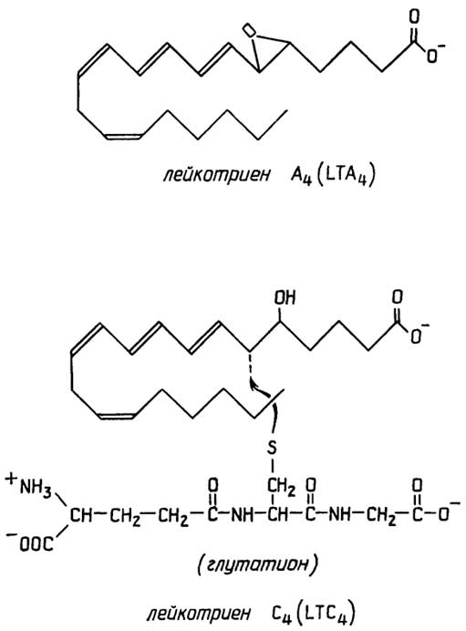 Рис. II.98. Лейкотриены