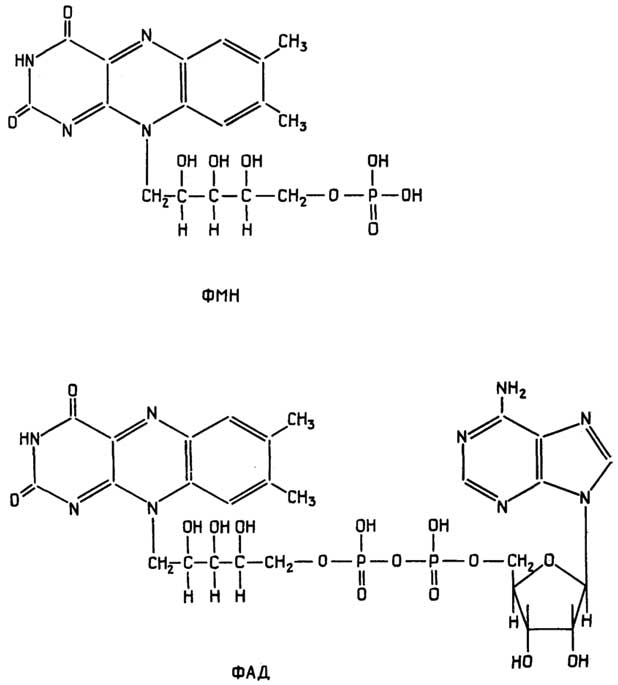 Рис. II.119. Посредники окислительно-восстановительных реакций ФМН и ФАД