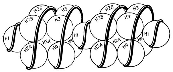 Puc. II.132. Строение хроматина