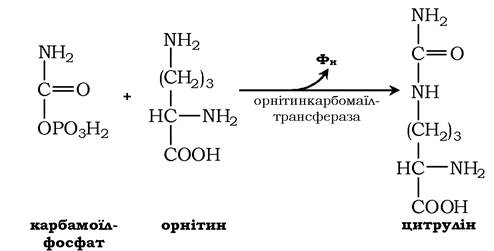 image253