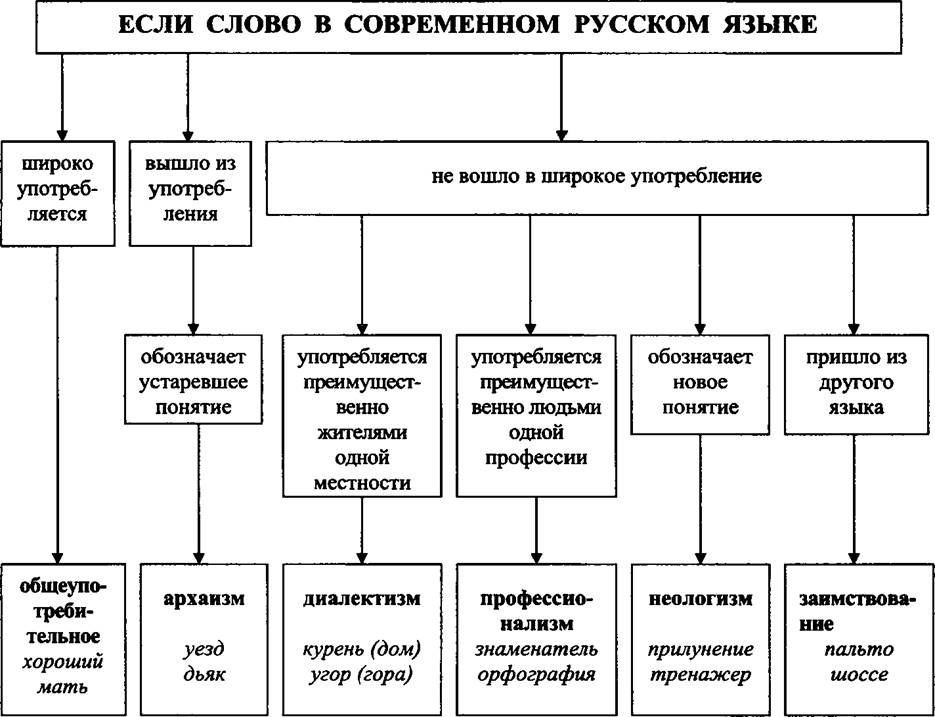 Лексика сфера употребления. Лексика с точки зрения употребления схема. Лексика с точки зрения сферы ее употребления.